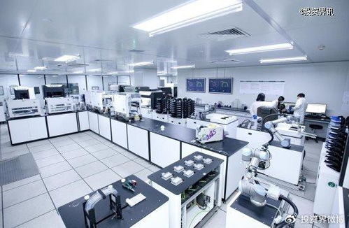 博瑞迪完成2.5億元B輪融資，專注生物育種技術(shù)服務(wù)，引領(lǐng)農(nóng)業(yè)科技新浪潮