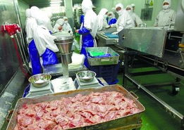 湖南開展肉類市場整治 徹查福喜問題食品原料 柴米油鹽